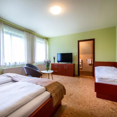 Skanzen Hotel 3*