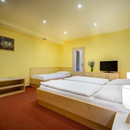 Skanzen Hotel 3*