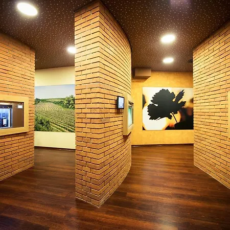 Szálloda Skanzen 3*