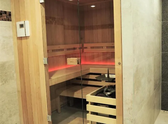 斯坎森酒店 3*