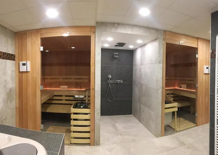 酒店 斯坎森酒店 3*