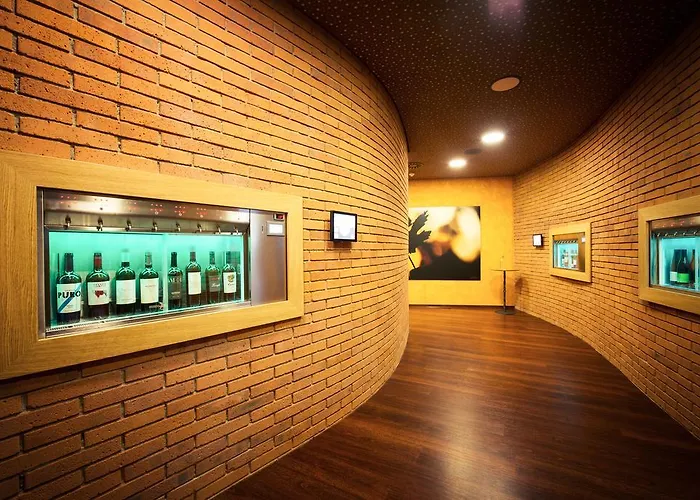 斯坎森酒店 3*
