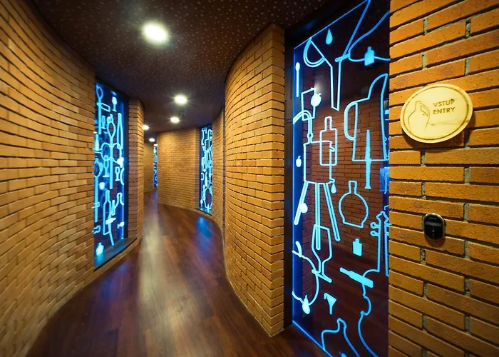 斯坎森酒店 酒店