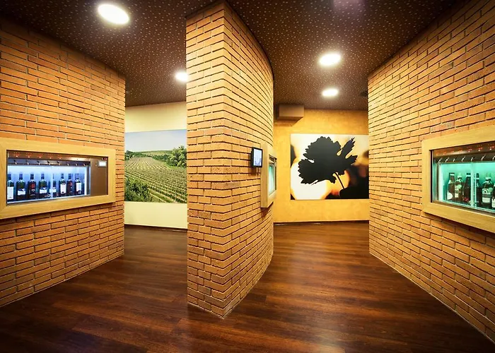 מלון Skanzen 3*
